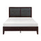 Edina Espresso Upholstered Panel Youth Bedroom Set