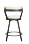 Appert White/Dark Gray Counter Chair, Set of 2