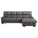 Michigan Dark Gray RAF Storage Sleeper Sectional