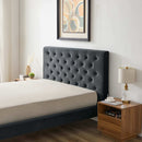 Dillon Velvet Platform Bed King / Blue