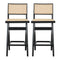 Keira Rattan Bar Stool (Set of 2)