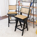 Keira Rattan Bar Stool (Set of 2)